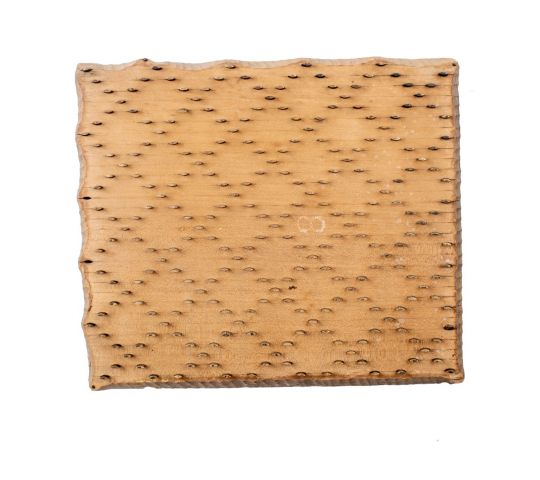 Model brez bordure TRŽ/TE 734