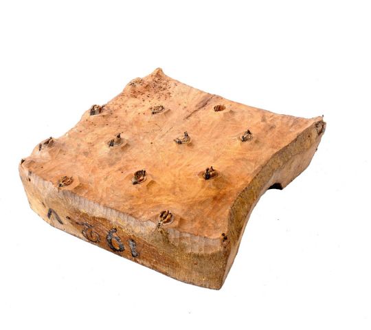 Model brez bordure TRŽ/TE 743