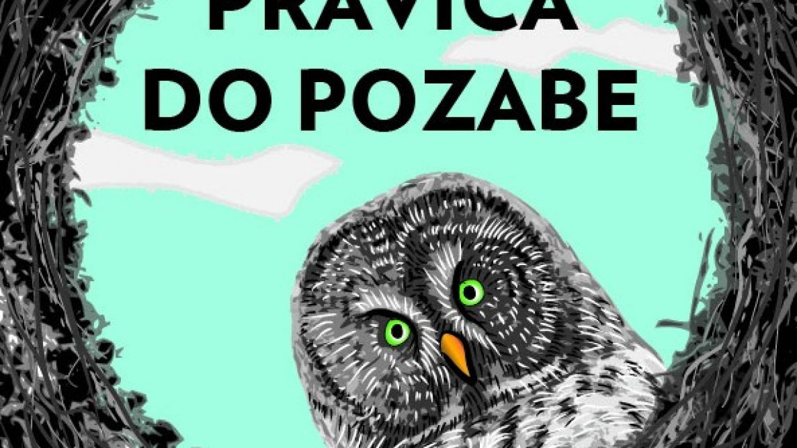 Lela B. Njatin - Pravica do pozabe