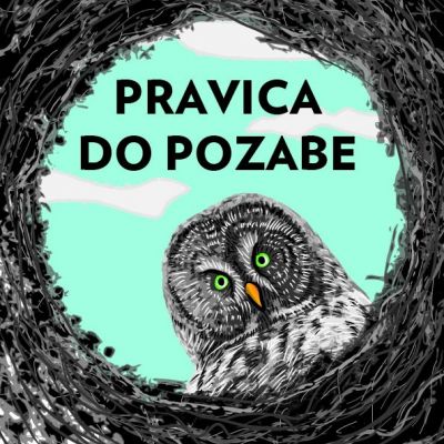 Lela B. Njatin - Pravica do pozabe