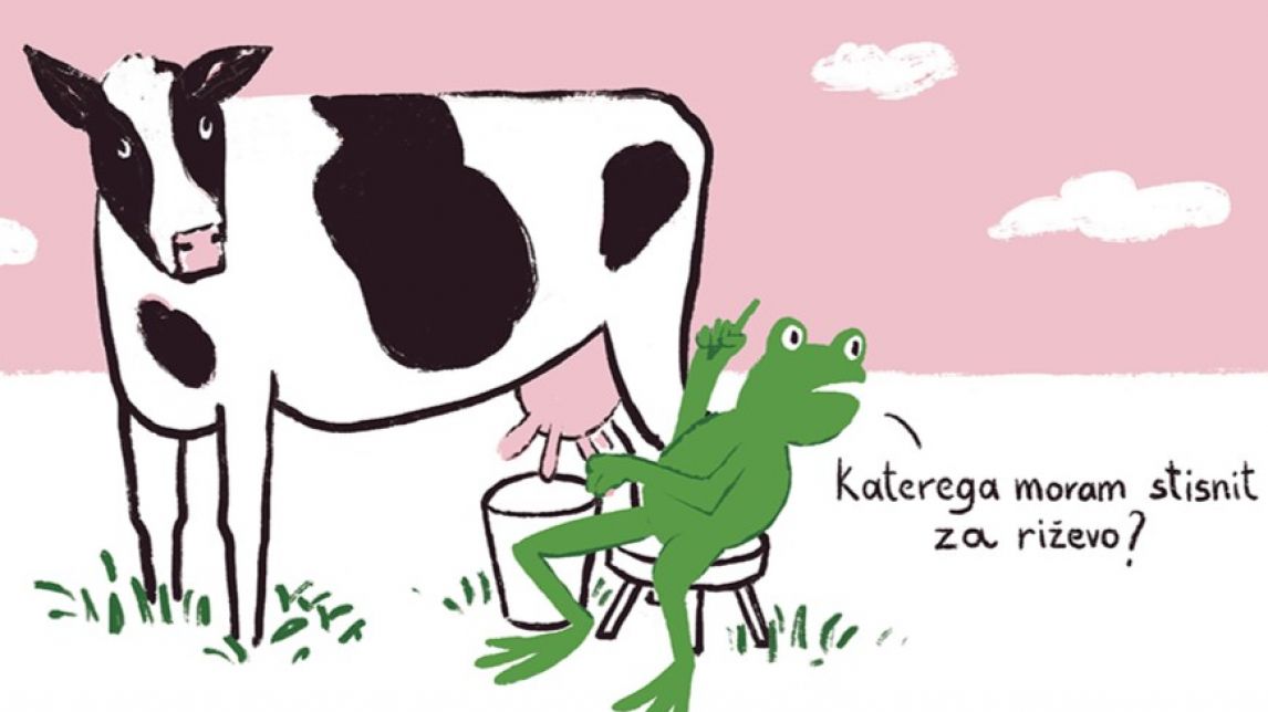 Dora Kaštrun - Žabci